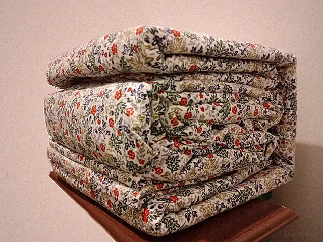 2PC 3PC 4PC Martha Stewart 100% Cotton Floral Sheet Set: Twin, Full, Queen, King
