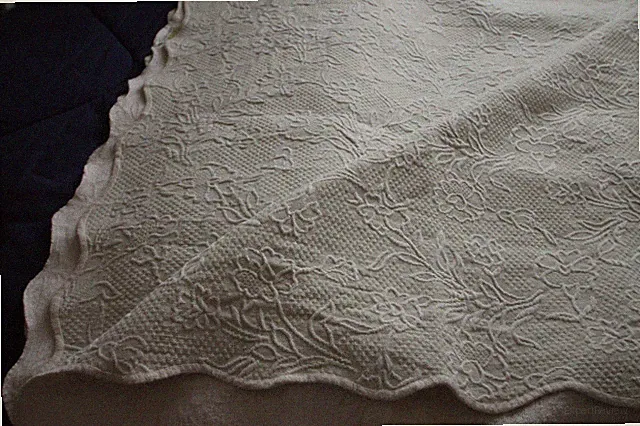 Martha Stewart Mountain Floral Matelasse Full Coverlet-Clover (Very light sage)