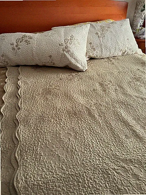 Martha Stewart Quilted Coverlet Blanket Set Floral Neutral King 97x102" 2 Pillow